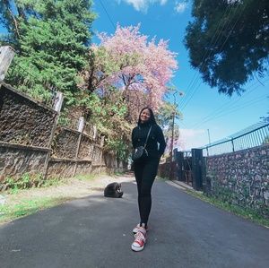 Meet your Posher, Yelene